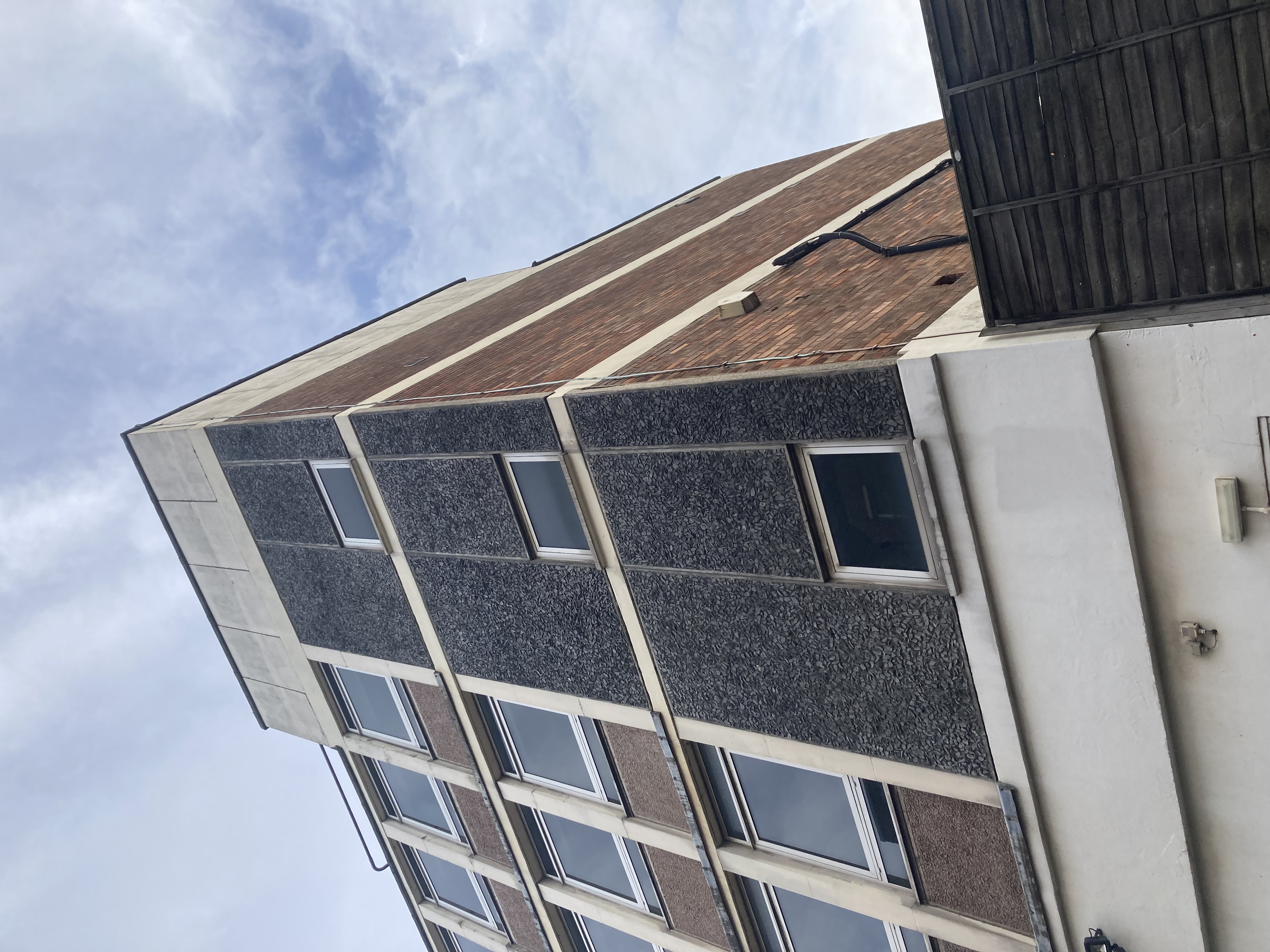 Single Ply Roof with external handrail Queens Building View project